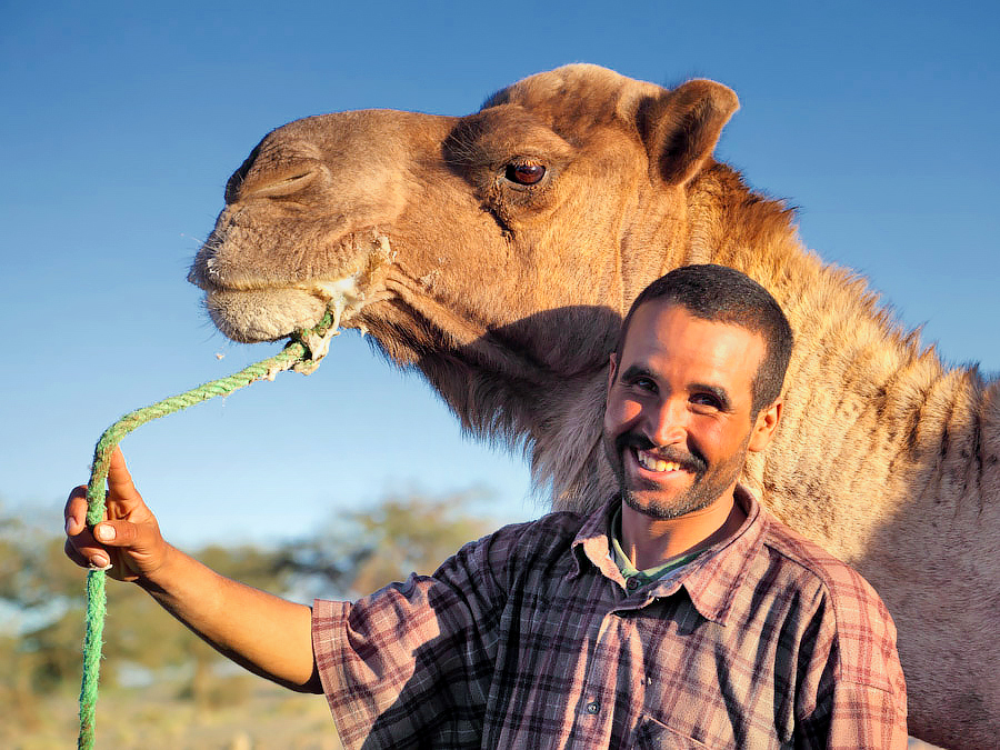 portrait de touareg avec son chameau